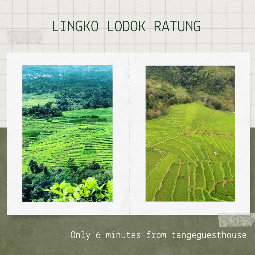 Tange Guest House รูเติง ภายนอก รูปภาพ